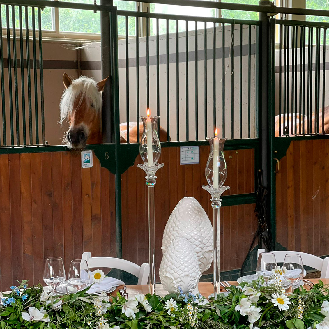 Matrimonio in Carrozza a Lecco Monsereno Horses